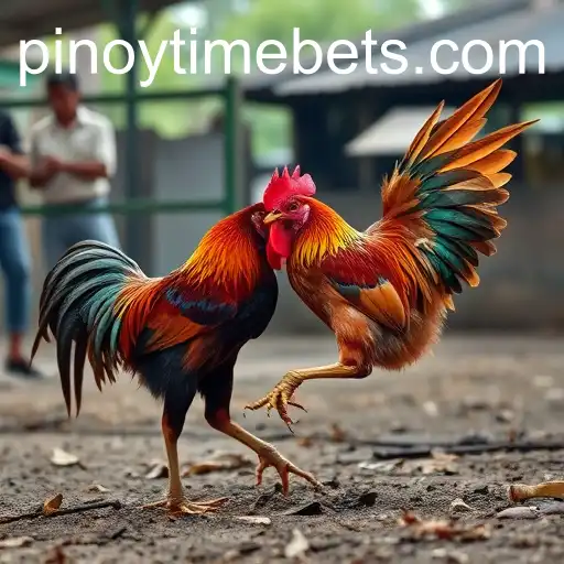 Exploring the Culture and Controversy of Cockfighting and Its Connection to Pinoy Time Casino